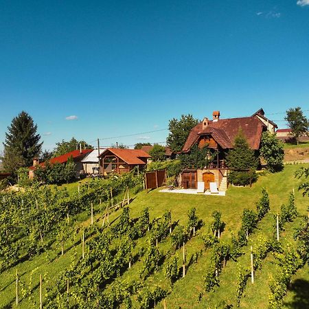 Holiday Home Wine & Relax Sveti Martin Na Muri Gornji Koncovcak Zewnętrze zdjęcie