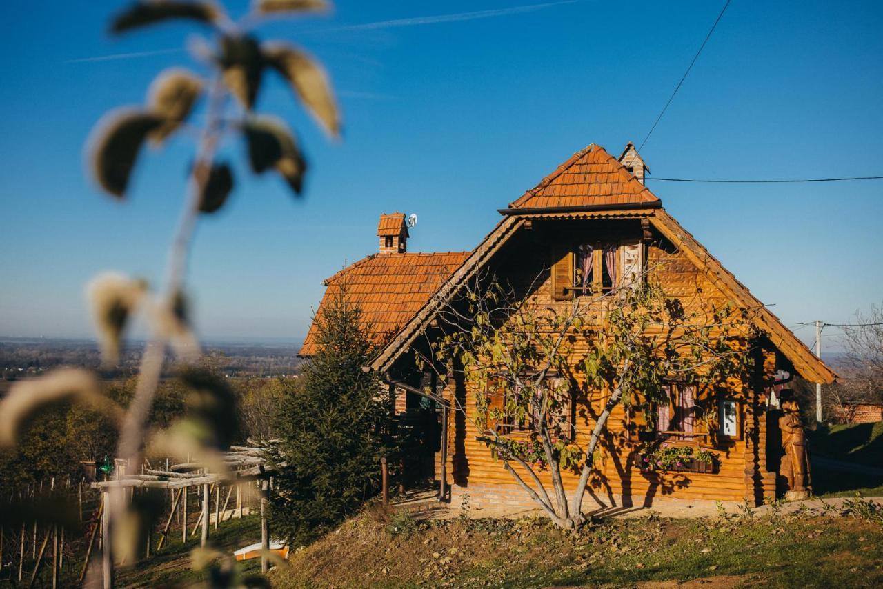 Holiday Home Wine & Relax Sveti Martin Na Muri Gornji Koncovcak Zewnętrze zdjęcie