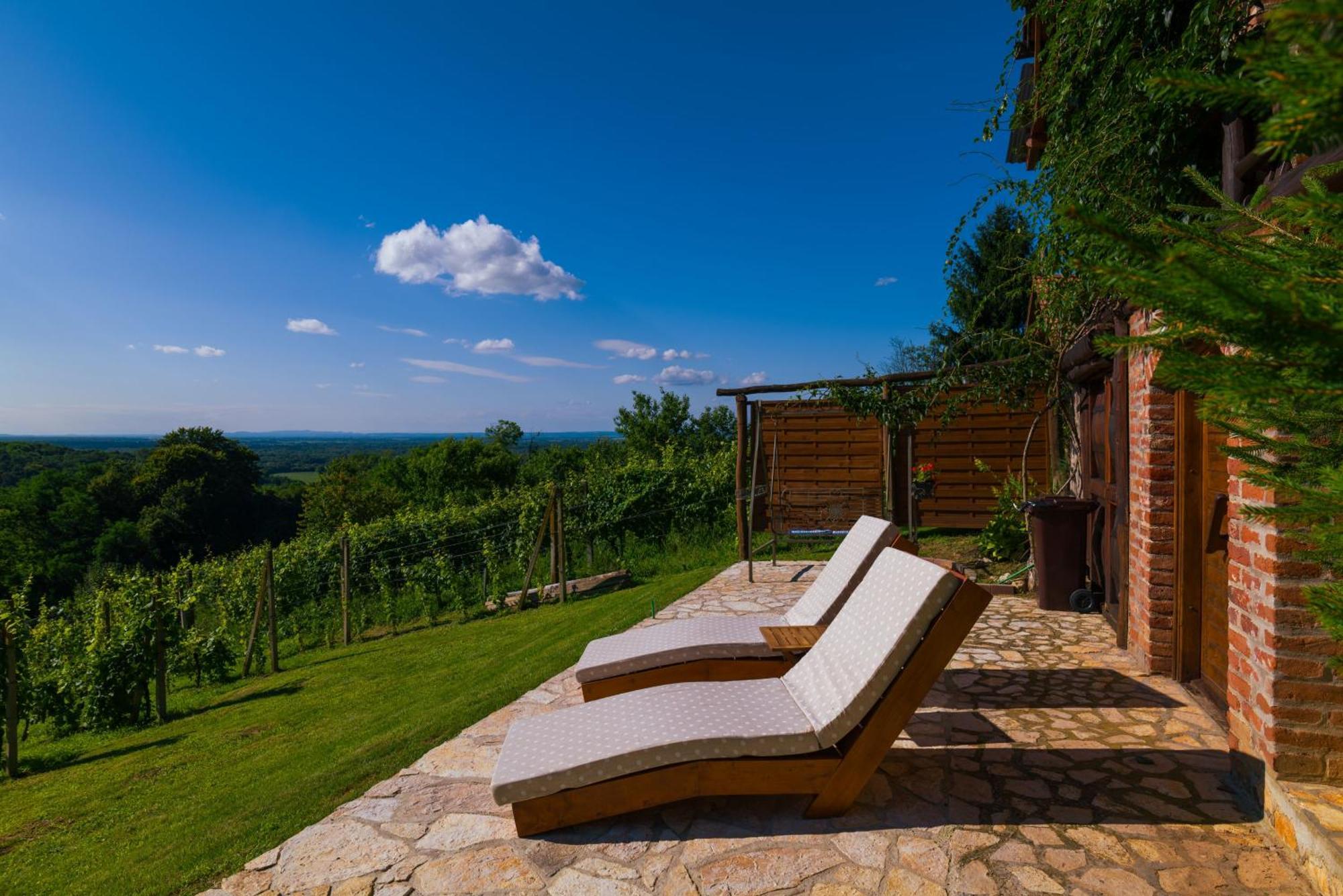 Holiday Home Wine & Relax Sveti Martin Na Muri Gornji Koncovcak Zewnętrze zdjęcie