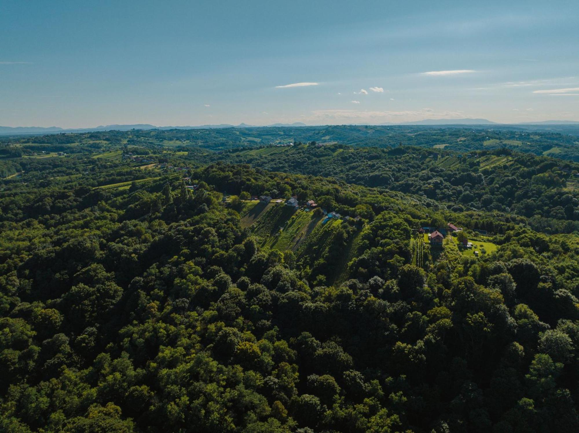 Holiday Home Wine & Relax Sveti Martin Na Muri Gornji Koncovcak Zewnętrze zdjęcie