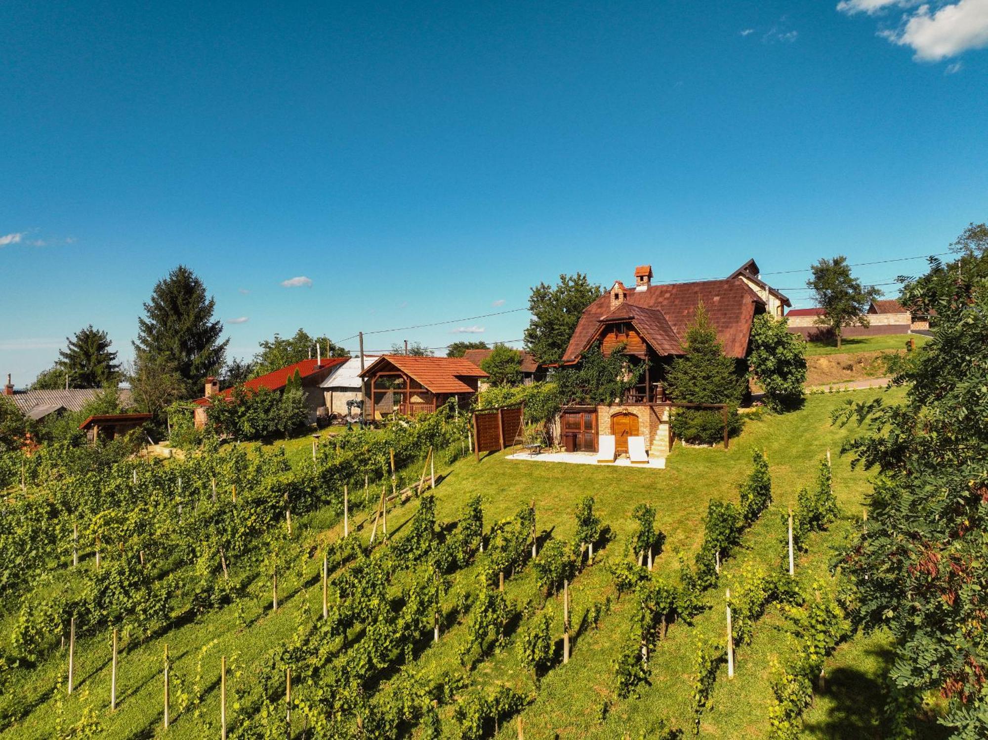 Holiday Home Wine & Relax Sveti Martin Na Muri Gornji Koncovcak Zewnętrze zdjęcie