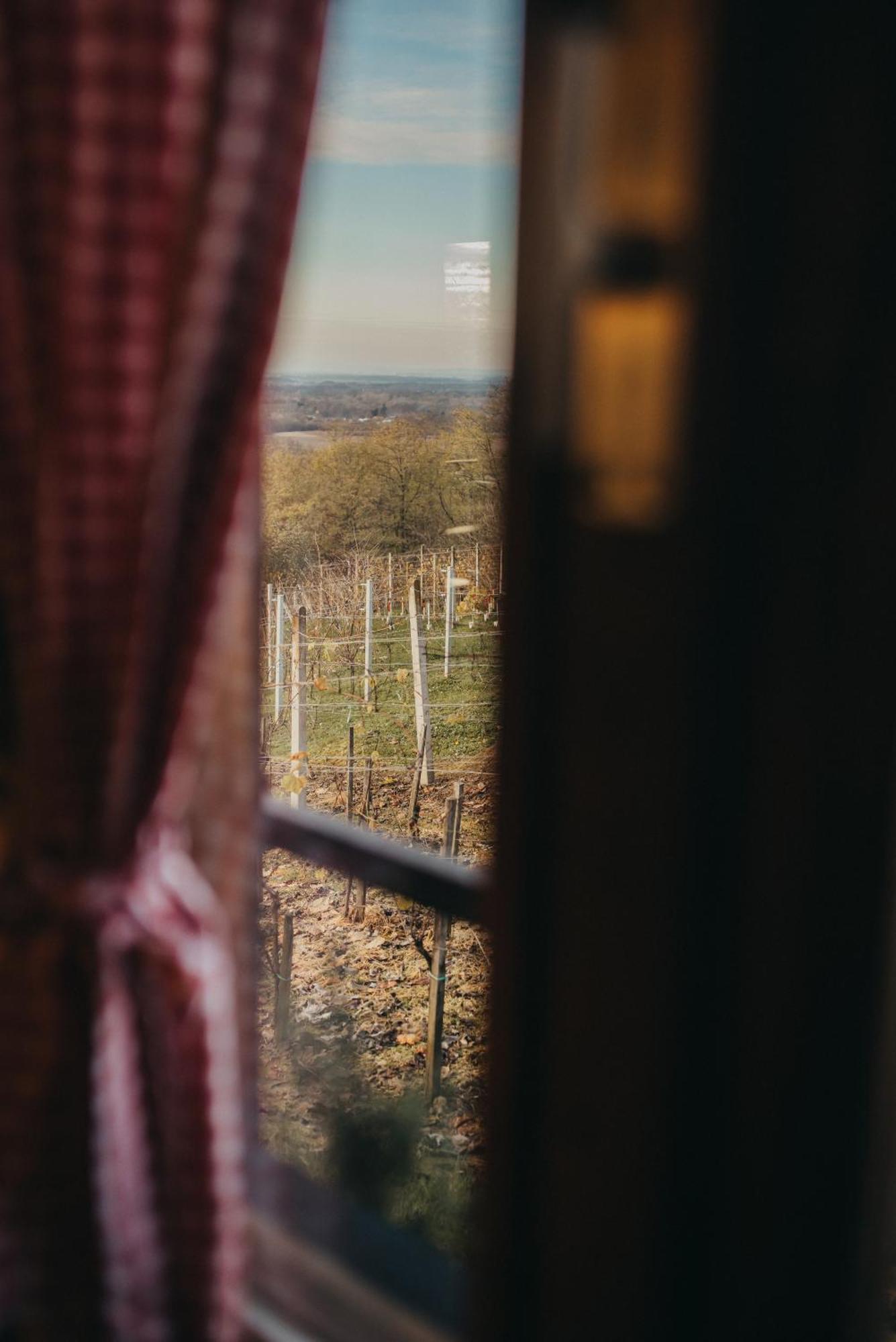 Holiday Home Wine & Relax Sveti Martin Na Muri Gornji Koncovcak Zewnętrze zdjęcie