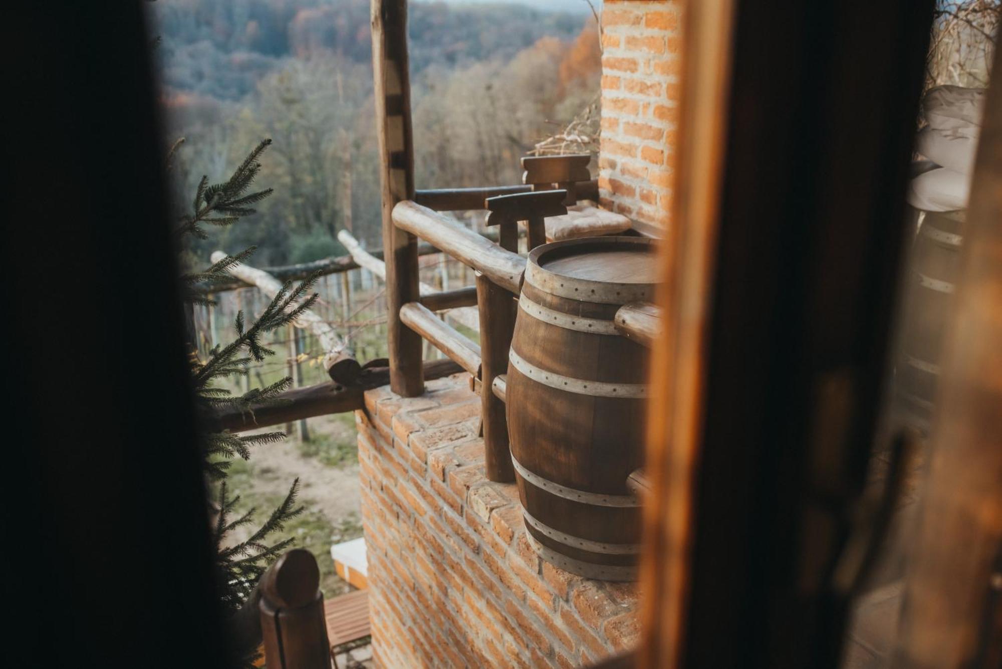 Holiday Home Wine & Relax Sveti Martin Na Muri Gornji Koncovcak Zewnętrze zdjęcie
